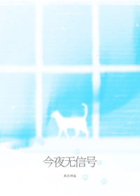 今夜无信号