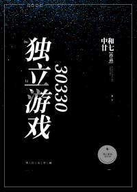 独立游戏30330