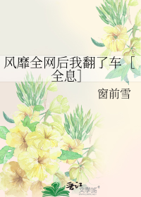 风靡全网后我翻了车［全息］