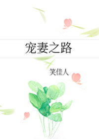 宠妻之路